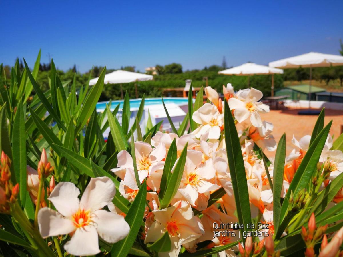 Quintinha Da Foz Guest House Sao Pedro  Exteriör bild