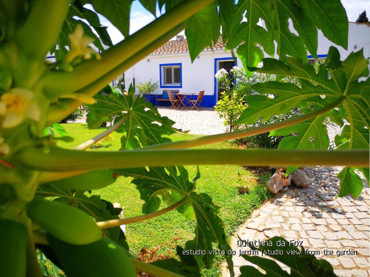 Quintinha Da Foz Guest House Sao Pedro  Exteriör bild